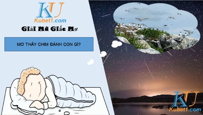 Mơ thấy chim đánh con gì vào bờ nhanh và an toàn?