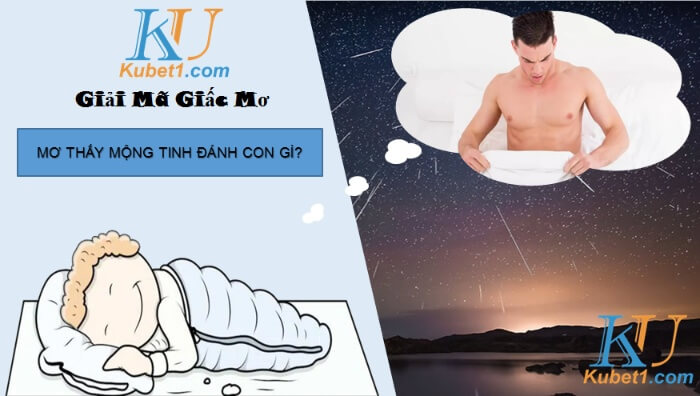 Mơ thấy mộng tinh đánh con gì trúng lớn, rước nhiều tài lộc?