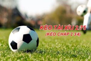 Giới thiệu về kèo tài xỉu 2.75